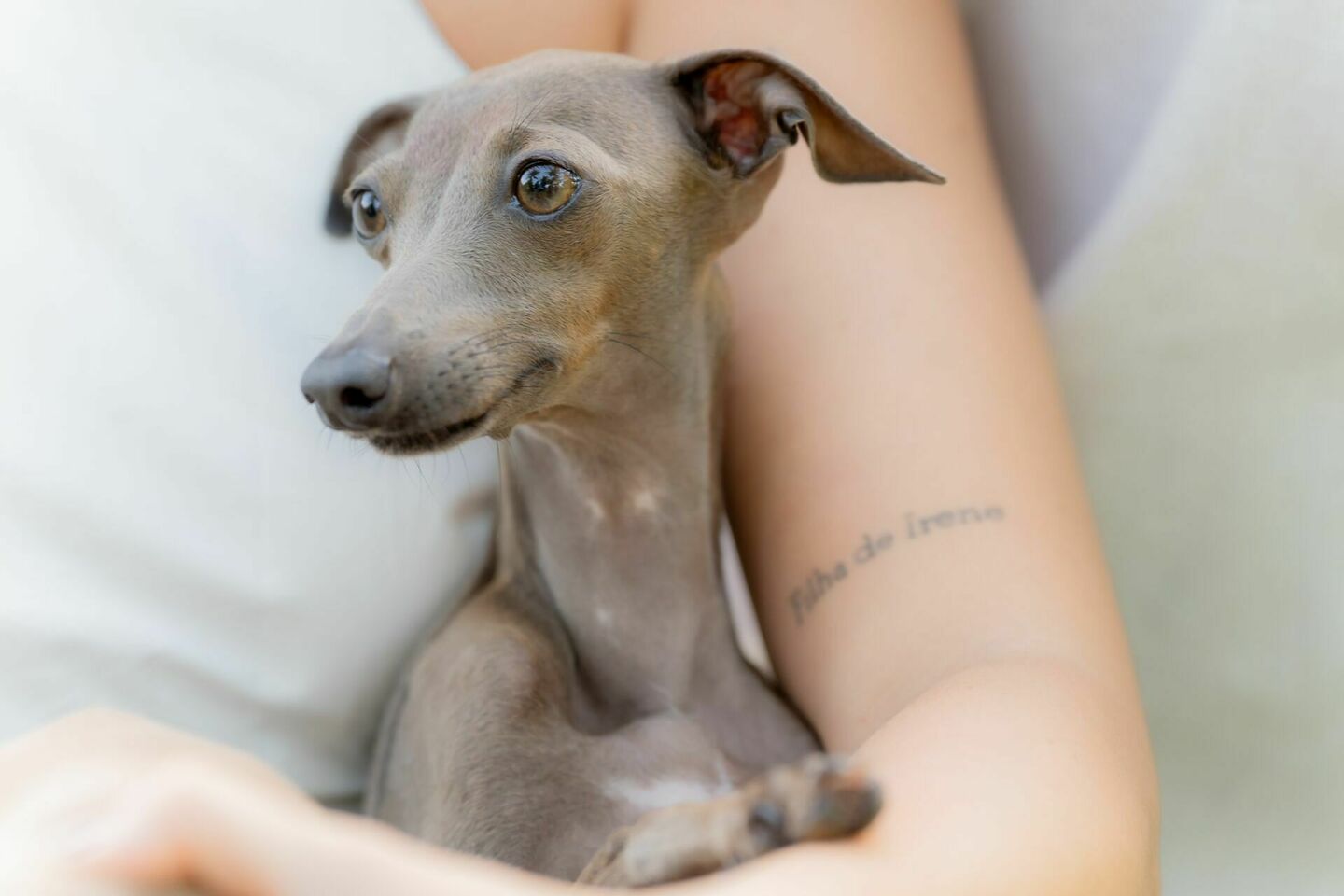 O Ensaio Pré Wedding de Luana e Adriano