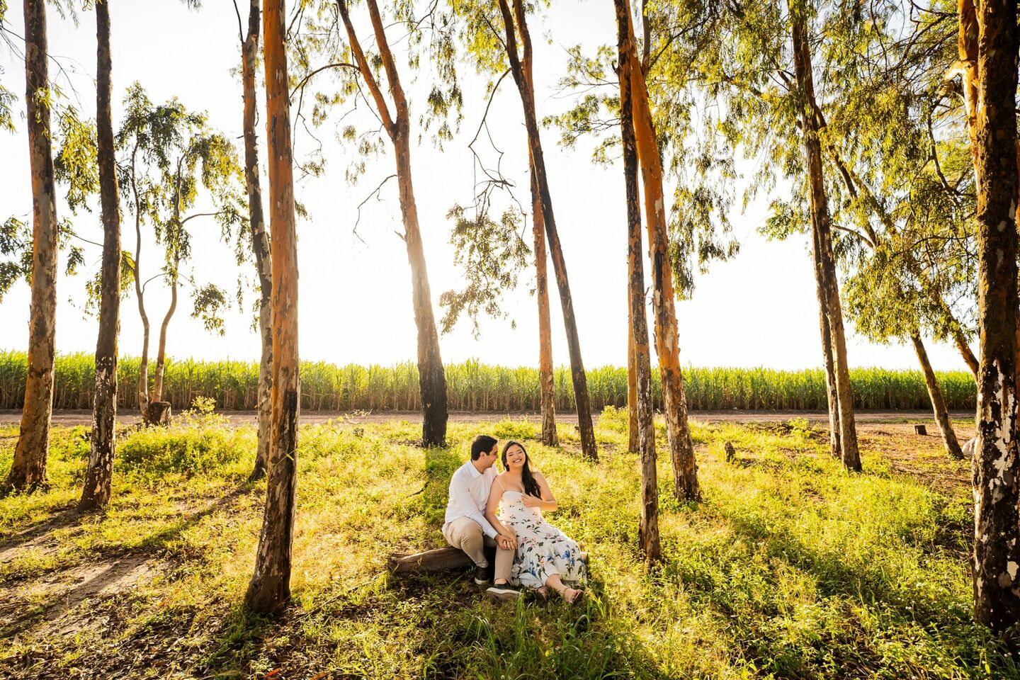 O Pré Wedding de Isis e Saulo